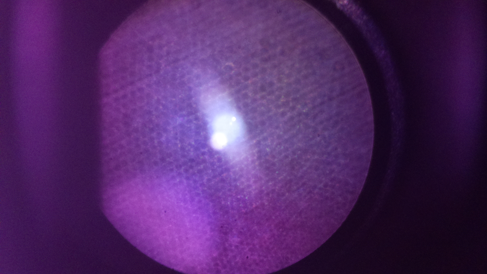 Retina jumping spider